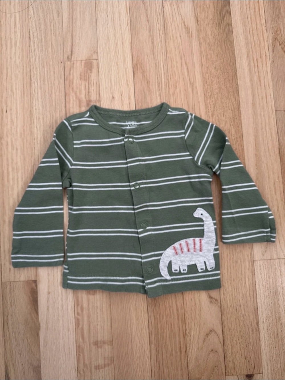 Striped Olive Green Long-Sleeve Kids Top with Dino Applique